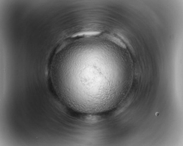 X0000088180261200705291958