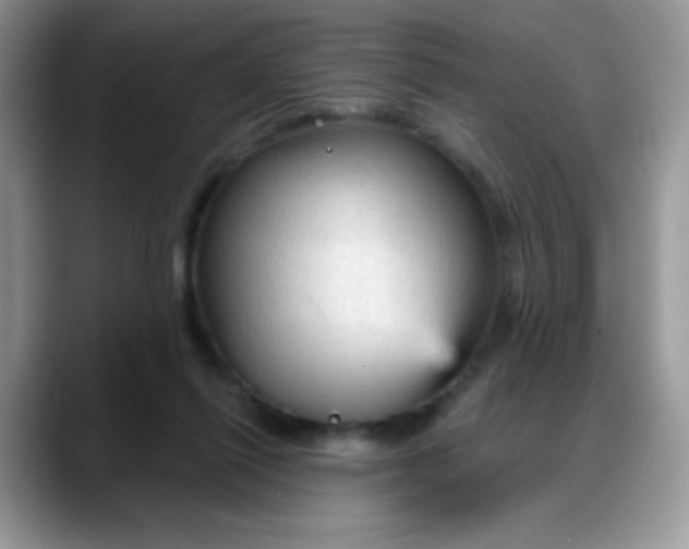 X0000088180262200705291958