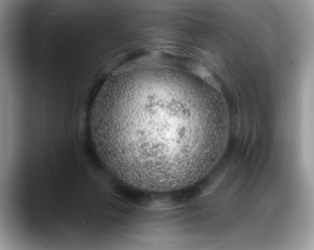 X0000088180263200705291958