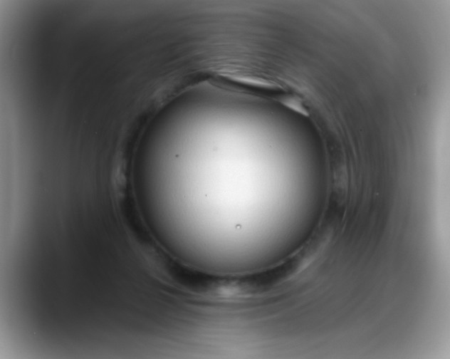 X0000088180264200705291958