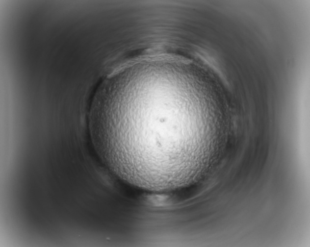 X0000088180265200705291958