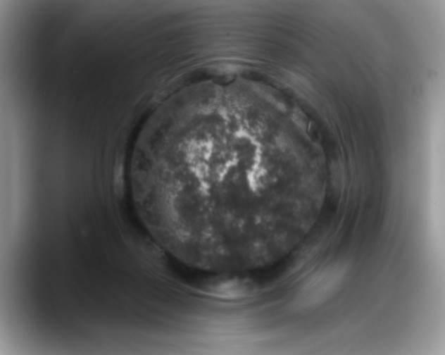 X0000088180267200705291958