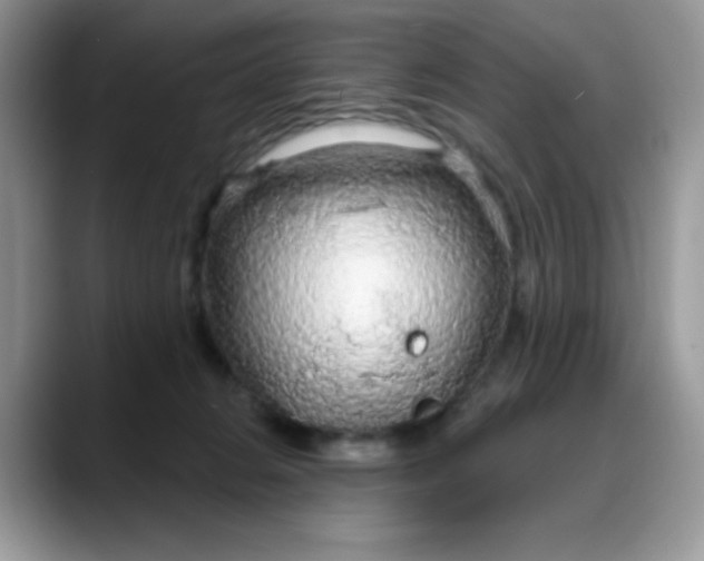 X0000088180270200705291958