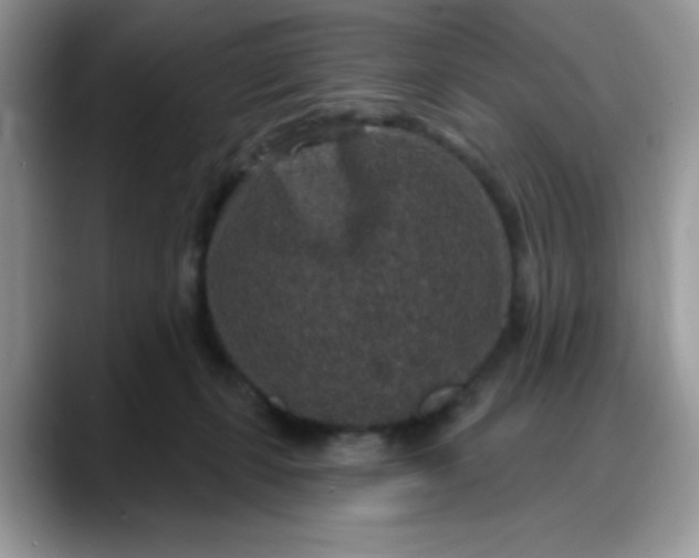 X0000088180271200705291958