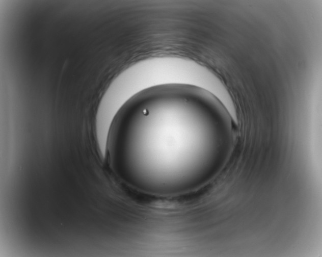 X0000088180272200705291958