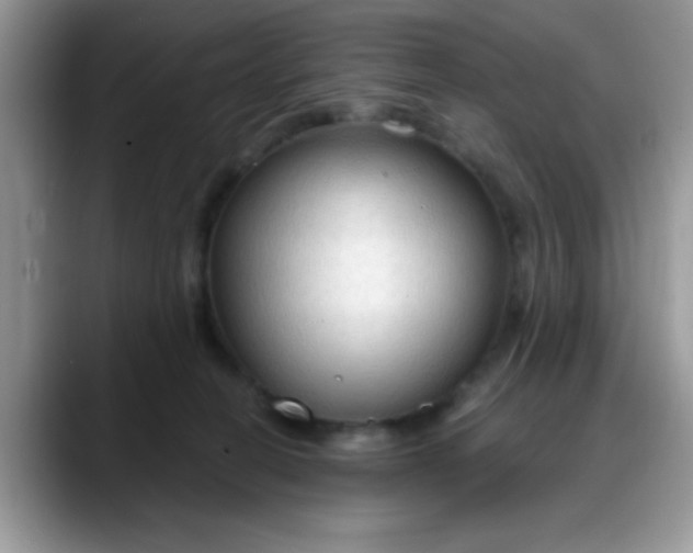 X0000088180274200705291958