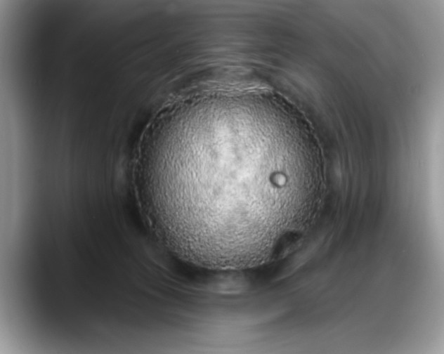 X0000088180275200705291958