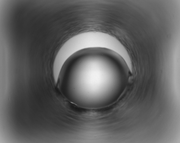 X0000088180276200705291958