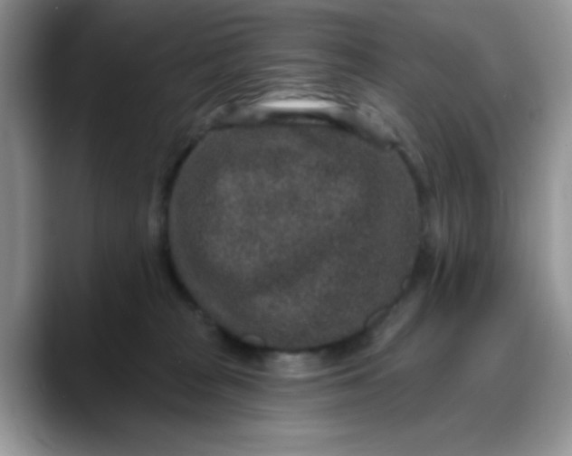 X0000088180277200705291958