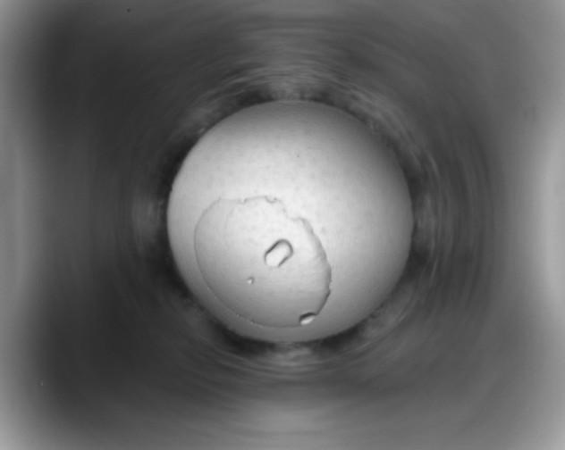 X0000088180278200705291958