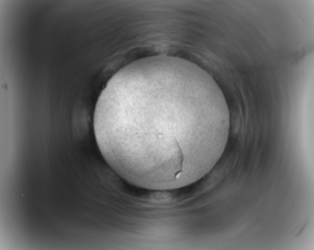 X0000088180279200705291958