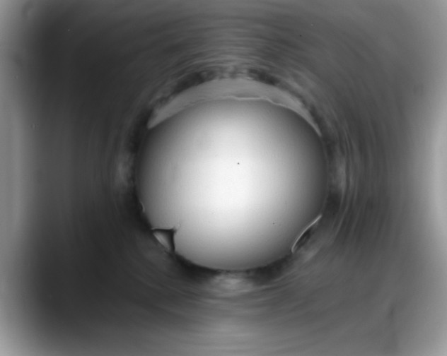 X0000088180280200705291958