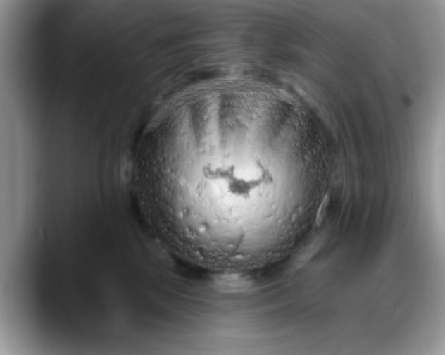 X0000088180281200705291958