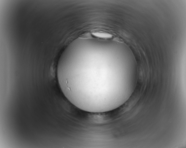 X0000088180282200705291958