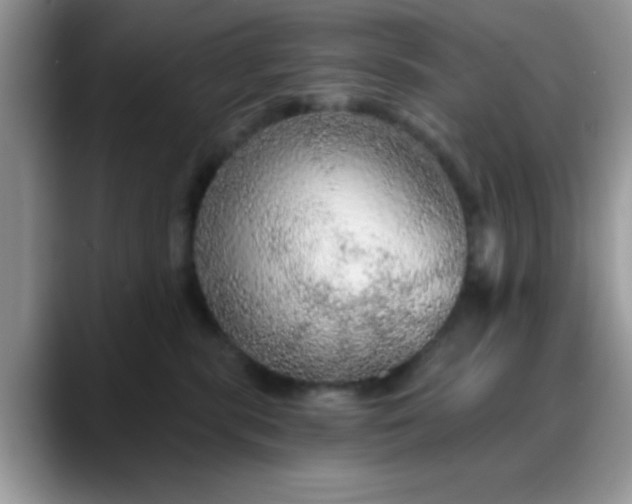 X0000088180283200705291958