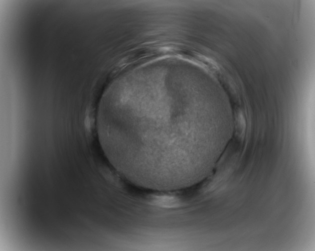 X0000088180284200705291958