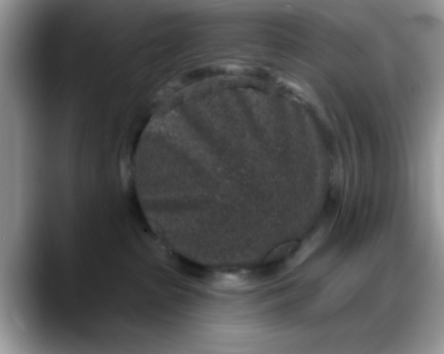 X0000088180285200705291958