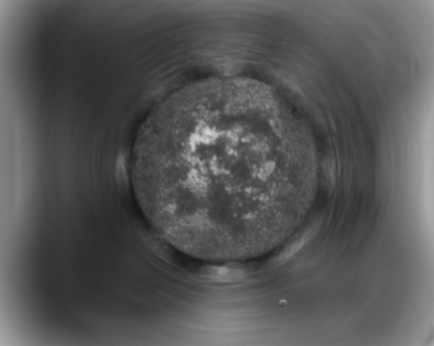 X0000088180286200705291958