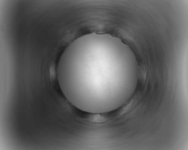 X0000088180287200705291958