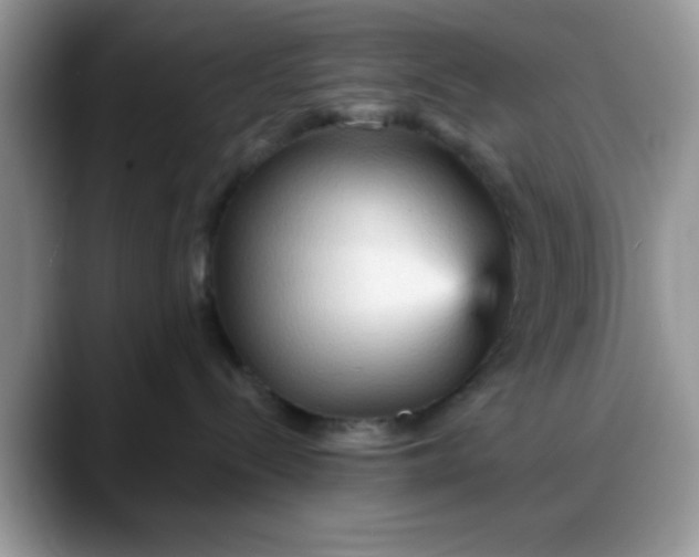 X0000088180288200705291958