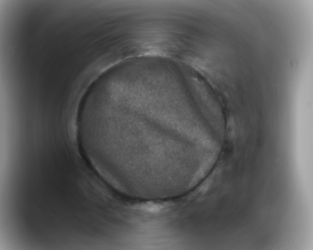 X0000088180290200705291957