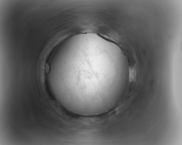 X0000088180291200705291957