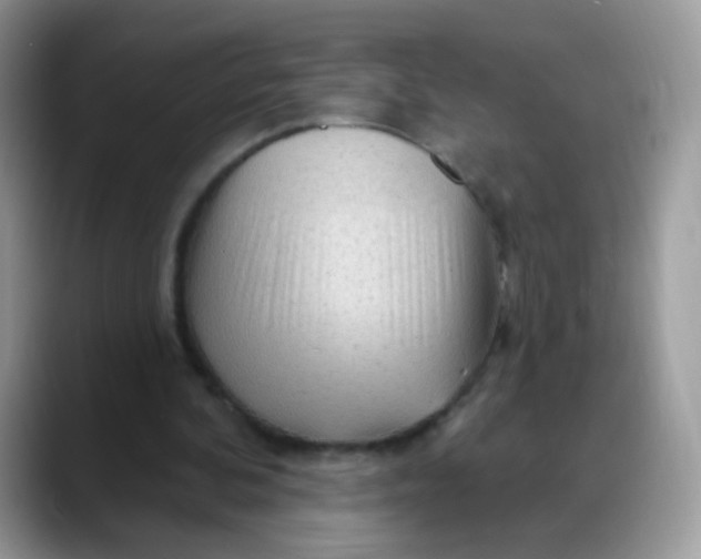 X0000088180292200705291957