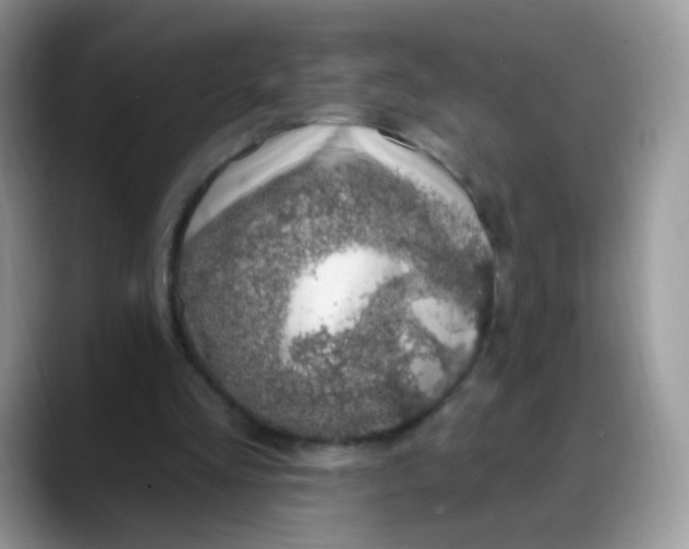 X0000088180293200705291957