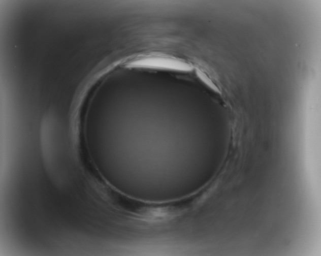 X0000088180295200705291957