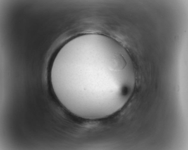 X0000088180296200705291957