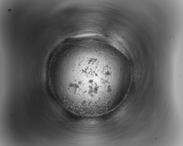 X0000088180299200705291957