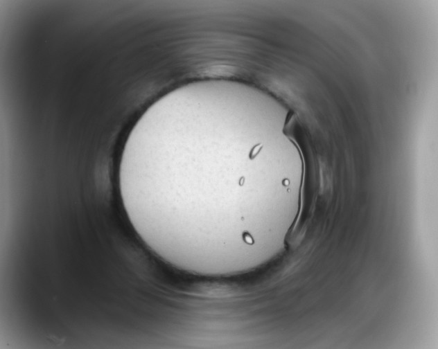 X0000088180300200705291957