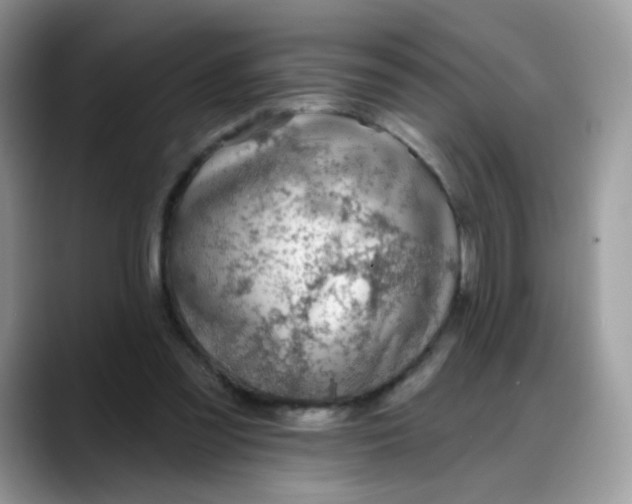 X0000088180301200705291957