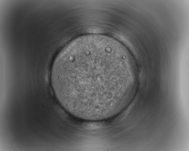 X0000088180305200705291957