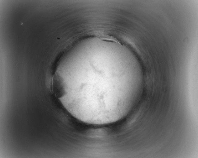 X0000088180307200705291957