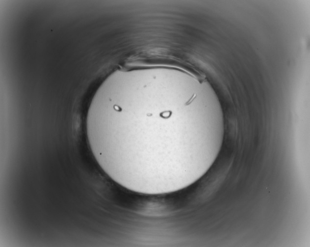 X0000088180308200705291957