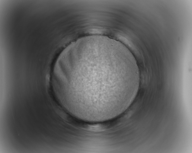 X0000088180309200705291957