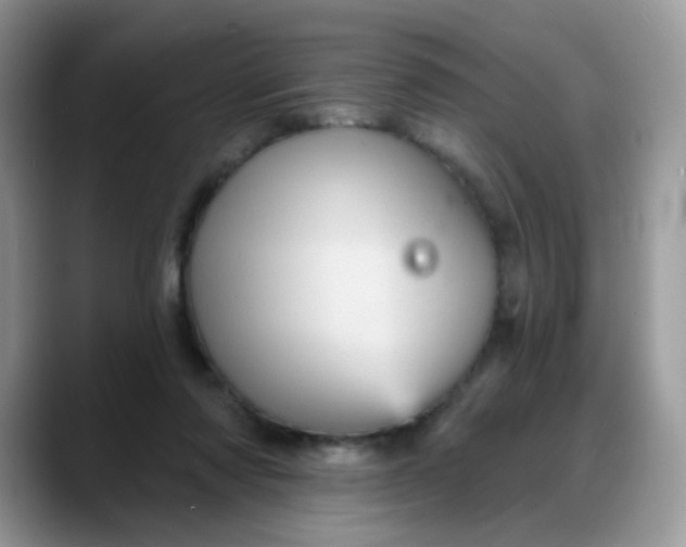 X0000088180310200705291957