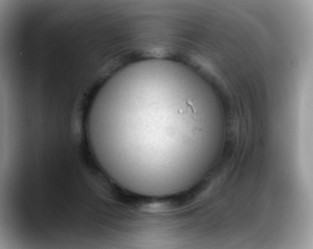 X0000088180312200705291957