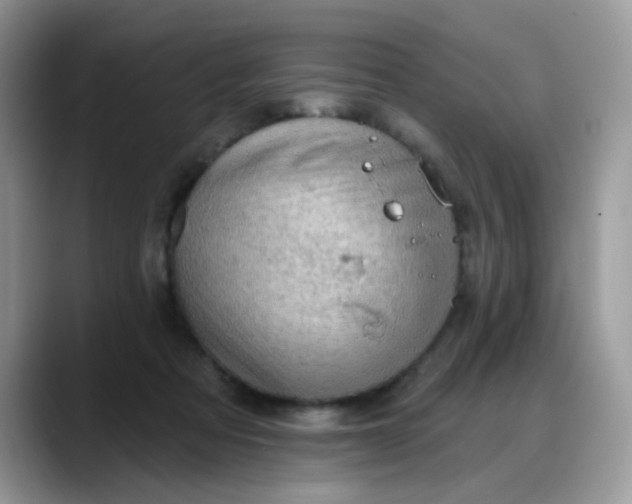 X0000088180313200705291957