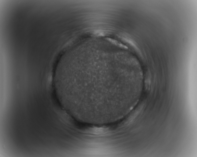 X0000088180314200705291957