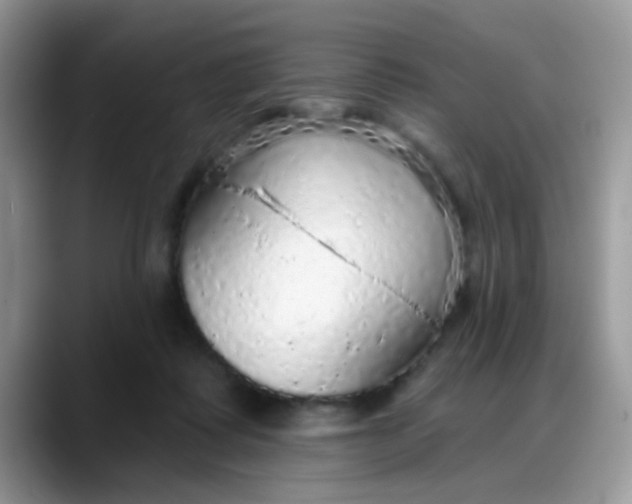 X0000088180315200705291957