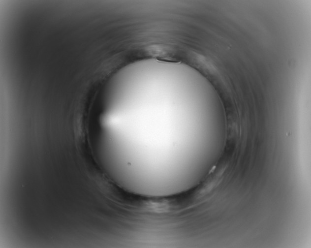 X0000088180317200705291957