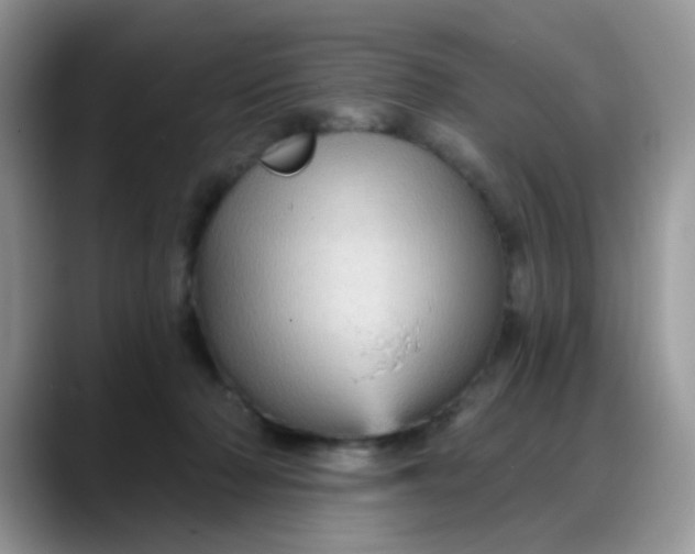 X0000088180318200705291957