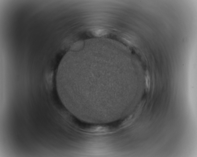 X0000088180319200705291957