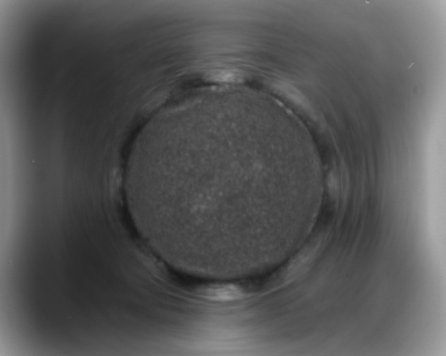 X0000088180322200705291957