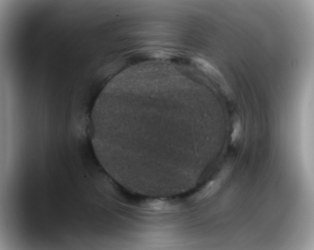 X0000088180325200705291957