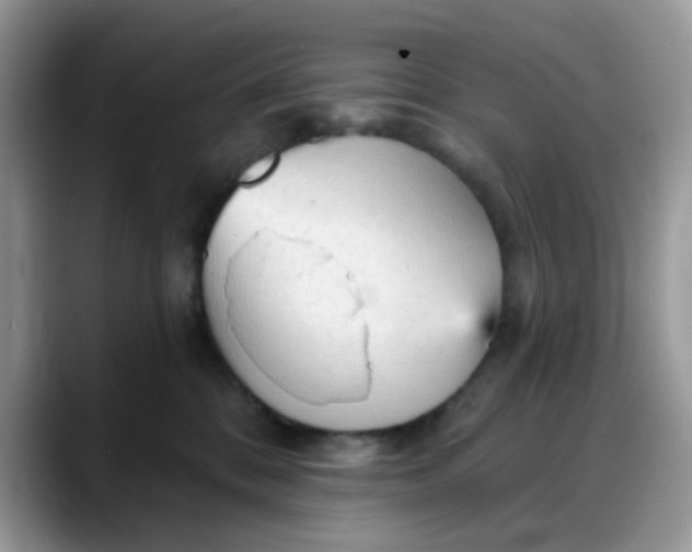 X0000088180328200705291957