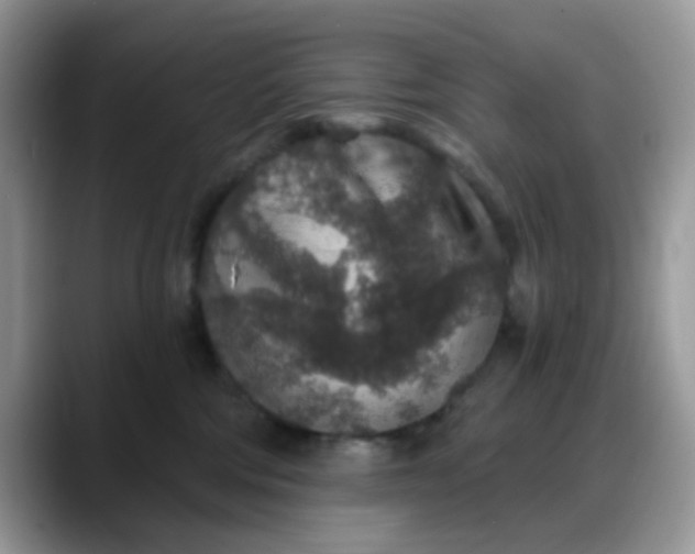 X0000088180330200705291957