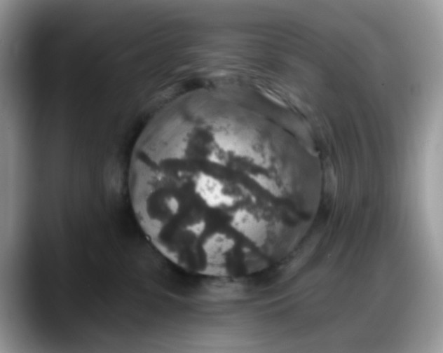 X0000088180331200705291957